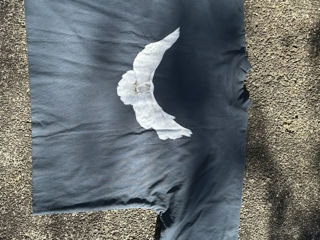 Tricou Yeezy GAP Balenciaga foto 0