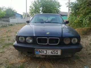 BMW 5 Series foto 1