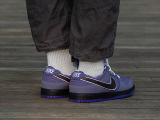 Nike SB Dunk Low Purple Lobster Unisex foto 10