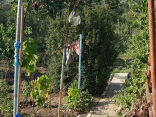 Продам, дачу в с. Кирка, НовоАненского района.Voi vinde o cabană în satul Kirka, Districtul Novoanen foto 17