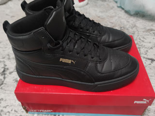 Puma, Original foto 3