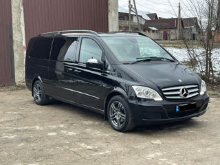 Mercedes Viano