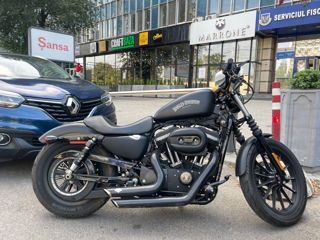 Harley - Davidson Sportster Iron 883