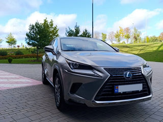 Lexus NX Series