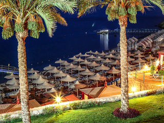 Sultan Gardens Resort 5* Sharm El Sheikh. Отличный отель за умеренную плату! foto 10