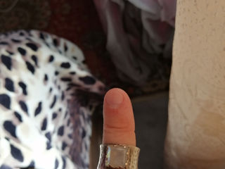 Срочно. Laxmi серебниное кольцо перстин женский. восточное кольцо с большим камнем