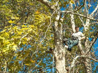 Defrisare arbori de orice dimensiuni si greutate.Arborist/Распиловка деревьев в труднодоступных мест foto 8