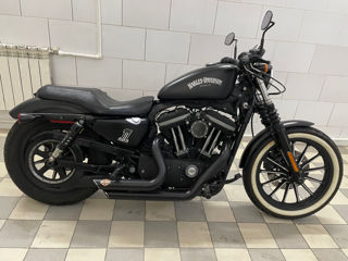 Harley - Davidson Iron883 foto 4