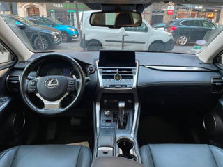 Lexus NX Series foto 5