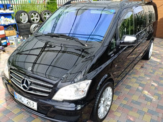 Mercedes Viano