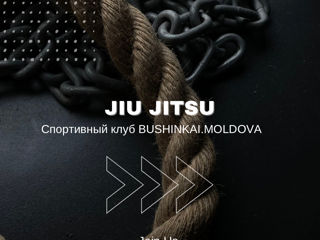 Jiu Jitsu Дзю-Дзюцу Джиу-Джитсу foto 5