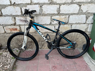 Giant Roam XR. foto 6