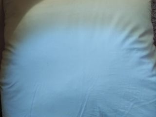 Подушка пух- перо, неиспользованное размер 80/80 - 50 лей. Лежало в шкафу и запылилось. Ботаника. foto 3