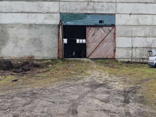Teren pentru construcții 1,27 ha industrial, cu 2 depozite câte 500 M2 fiecare. foto 10