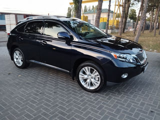 Lexus RX Series