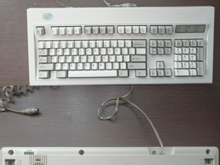 IBM Model M Genuine Keyboard foto 2