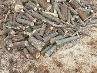 Vînd lemne tăiate gata de pus pe foc 950 lei metru cub cu livrare gratis