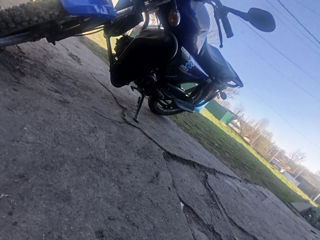 Alpha Moto alpha champ foto 0