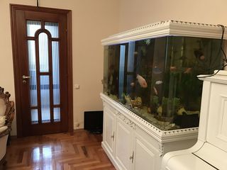 Премиум аквариум на 750 литров foto 1