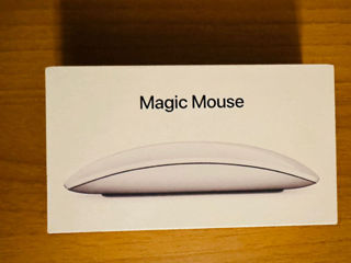 Magic Mouse 2024