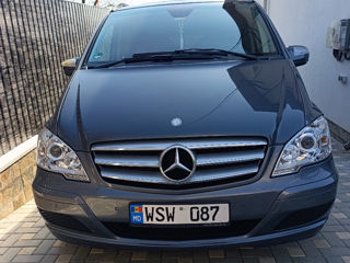 Mercedes Viano, 2011 г.