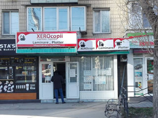 Xerox, распечатка, переплет, ламинирование foto 6