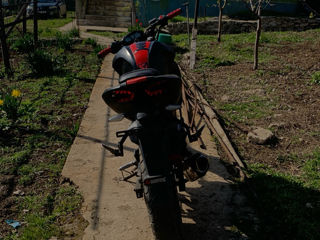 Viper R1 NK foto 4