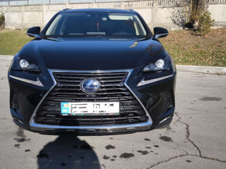 Lexus NX Series