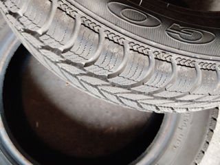 Debica 175/65 R14 foto 3