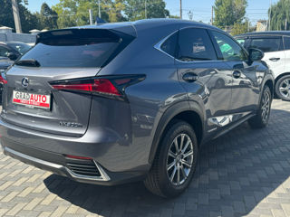 Lexus NX Series foto 6