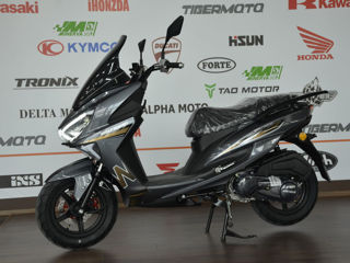 Wolf Motors 150/2024 foto 1