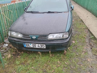 Nissan Primera foto 3