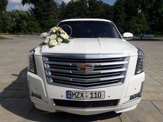 Limuzine moderne Cadillac Escalade 2017 foto 3