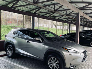 Lexus NX Series foto 1