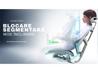 Scaune ergonomice Comfort Seating. Cumpără acum, plătește în rate gratuite 0% foto 7