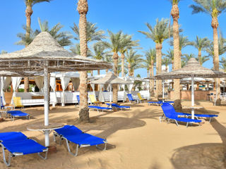 Шарм Эль Шейх!  Отель  "Seti Sharm Resort 4*" Вылет 15.12.2024! foto 4