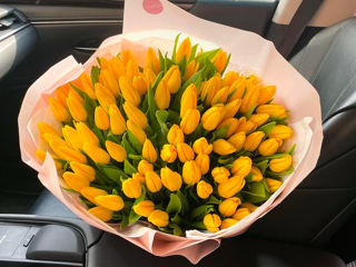 Lalele la pret angro! Livrare flori Тюльпаны оптом и в букете!Доставка цветов Tulips delivery flower foto 4