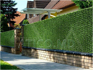 Gard decorativ verde. Reduceri! Декоративный забор. Скидки! foto 1