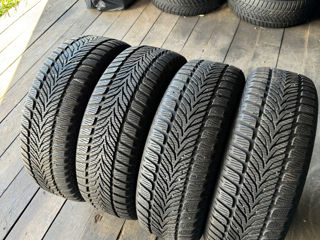 Зимние шины 205/60R16 Sava foto 1