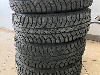 Lassa Icewais 185/65 r15