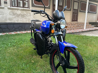 Alpha Moto 110 foto 7