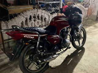 Viper Victad vt 150 foto 3