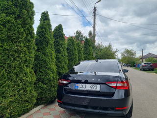 Skoda Superb foto 3