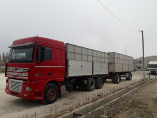 Daf XF 95 foto 3