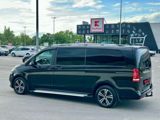 Mercedes Viano foto 6