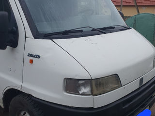 Fiat Doblo foto 4