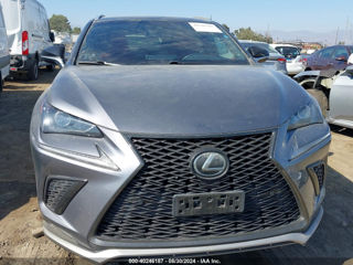 Lexus NX Series foto 2