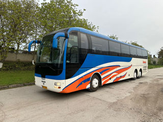 Man Lions Coach R08 foto 18