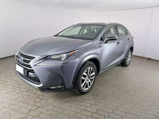 Lexus NX Series