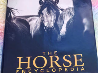 The Horse Encyclopedia, DK books